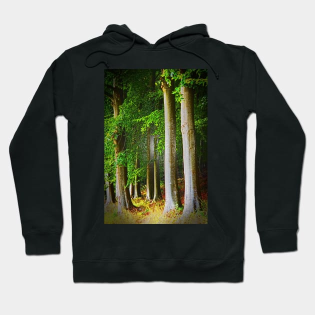 Cotswolds Trees Hoodie by Graz-Photos